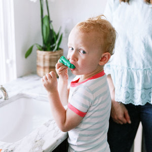 Dinosaur toothbrush finger brush for infants